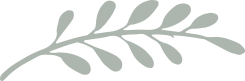 Hojita