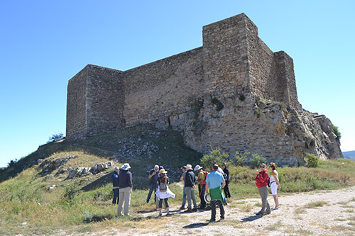 10 Arcatur II-4