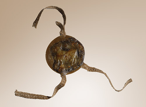 Terue-amant-arqu-11