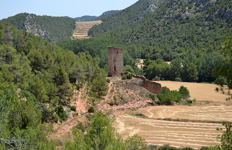 Torr-Piq-1