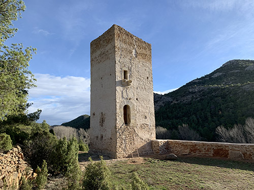 Torr-Piq-16