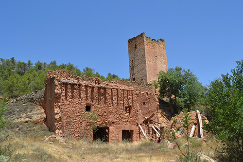 Torr-Piq-5
