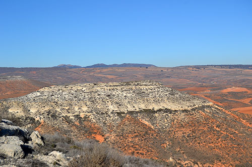 Alto-Capon-5