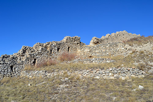 Cast-Fortaner-4