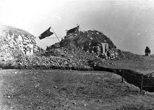 Celad-10