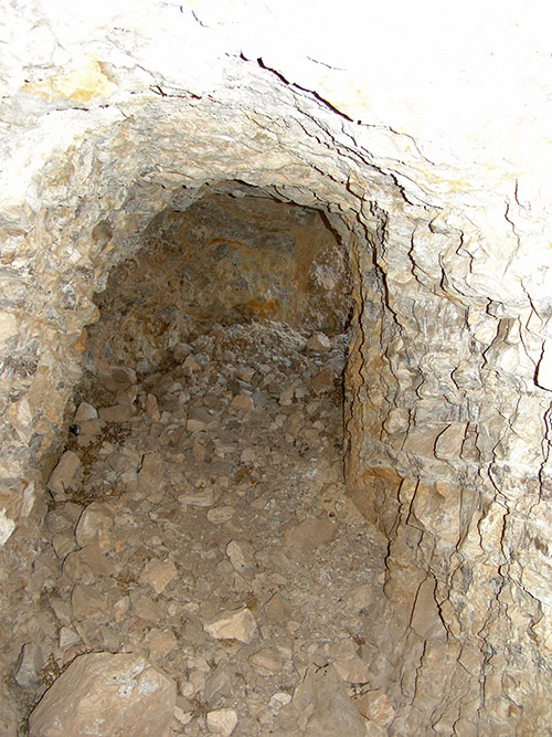 Celad-6
