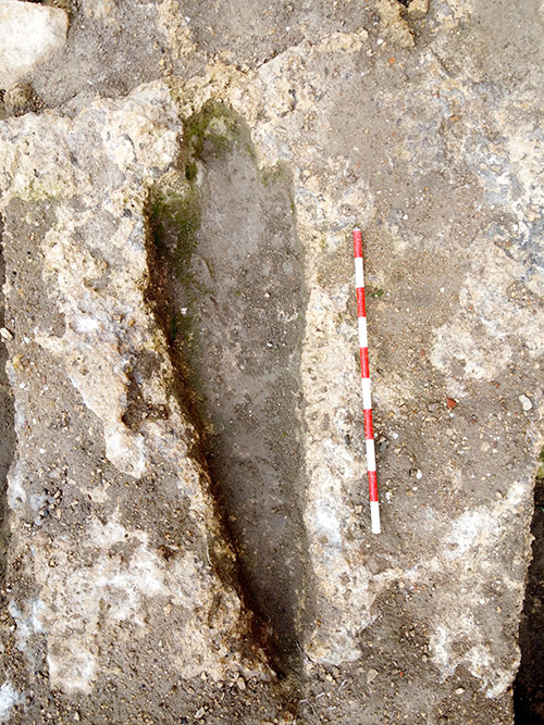 DCIM103MEDIADJI_0744.JPG